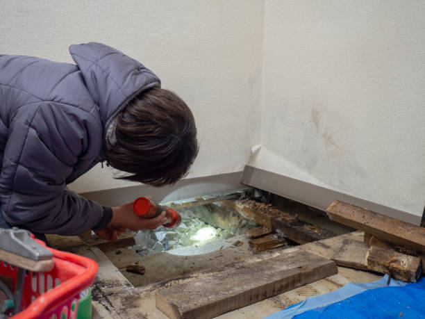 Best Air Quality Testing for Mold Spores  in Traverse City, MI