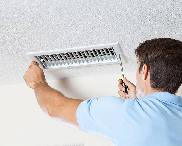 Best Mold Removal for HVAC Installations  in Traverse City, MI