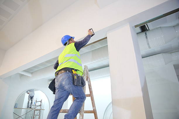 Best Mold Damage Restoration  in Traverse City, MI