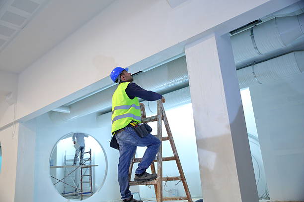 Best Industrial Mold Remediation  in Traverse City, MI
