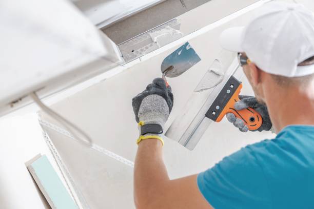 Best Attic Mold Removal  in Traverse City, MI